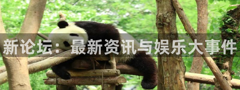 顺盈娱乐