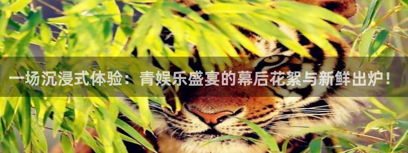 顺盈娱乐