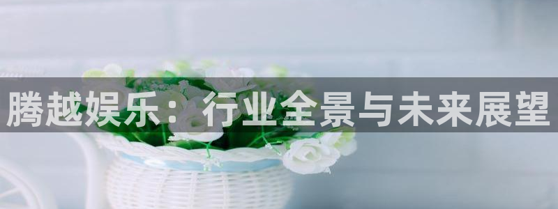 顺盈娱乐