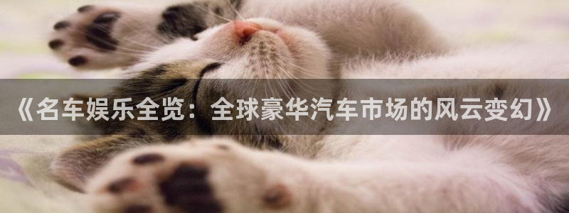 顺盈娱乐