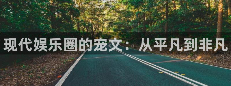 顺盈娱乐