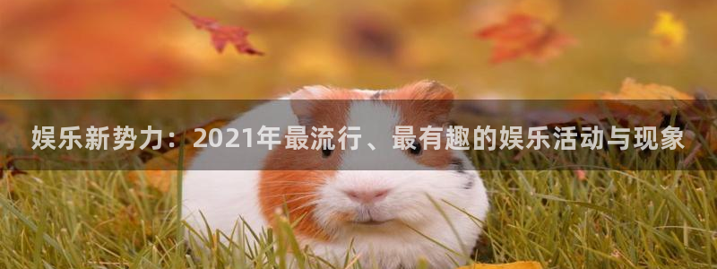 顺盈娱乐