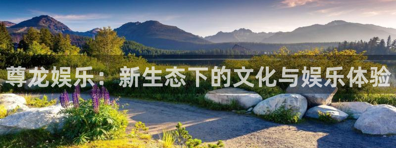 顺盈娱乐