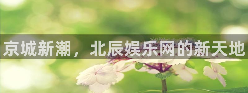 顺盈娱乐