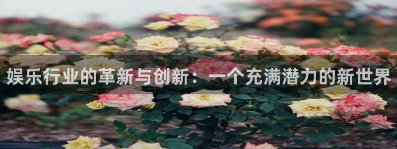顺盈娱乐