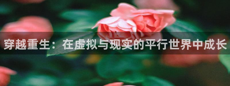顺盈娱乐